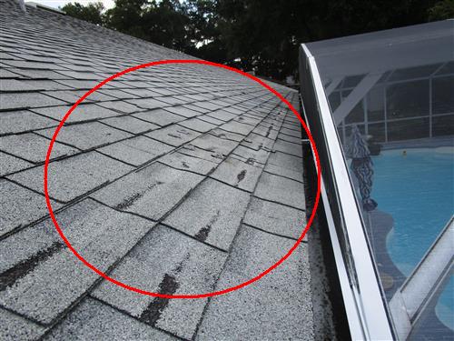 Jim McDonough Home Inspections moisture detection photo 31